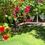Villa Niloan *