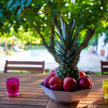 Niloan * 奧爾比亞